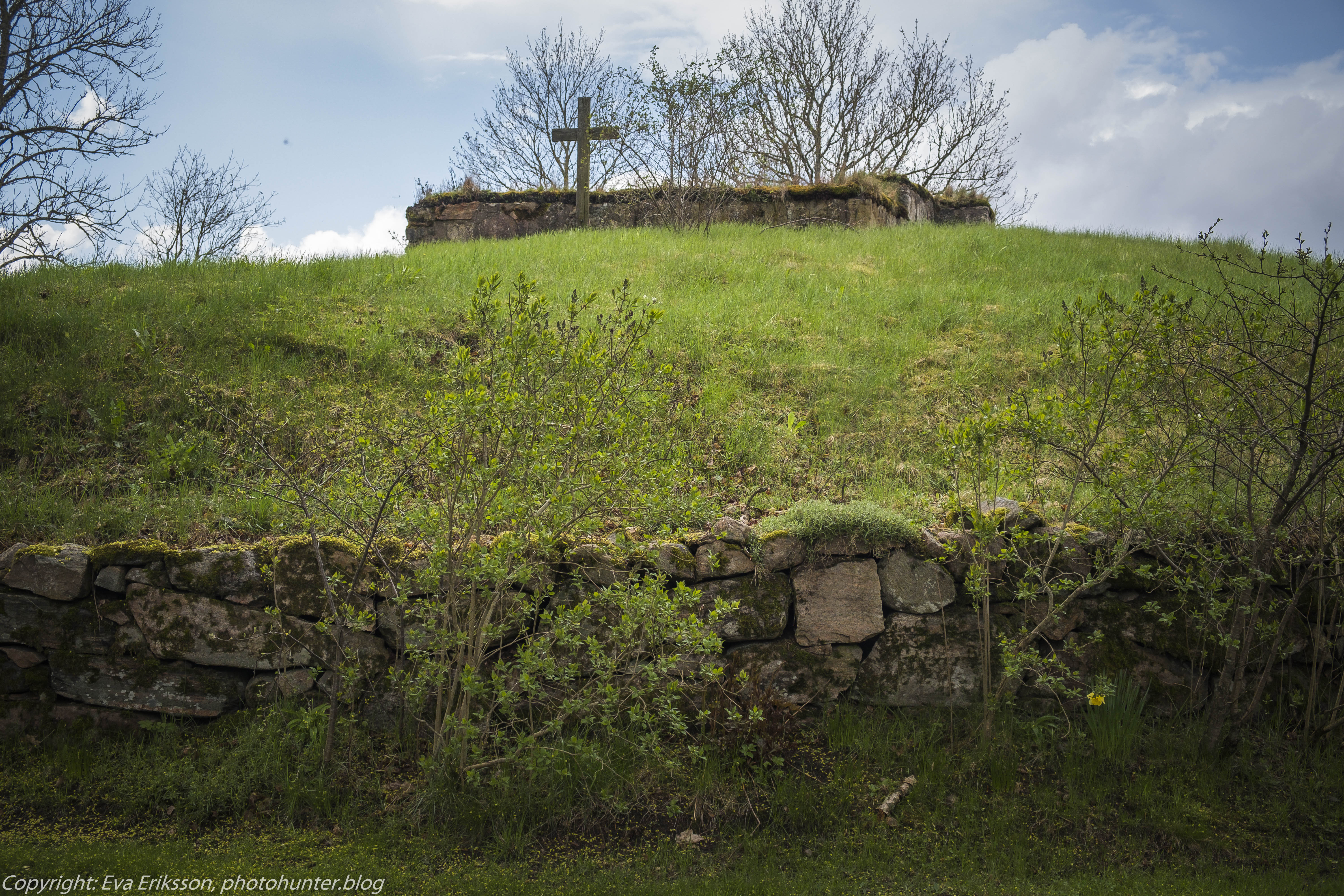 17052021-17052021-_DSF1002