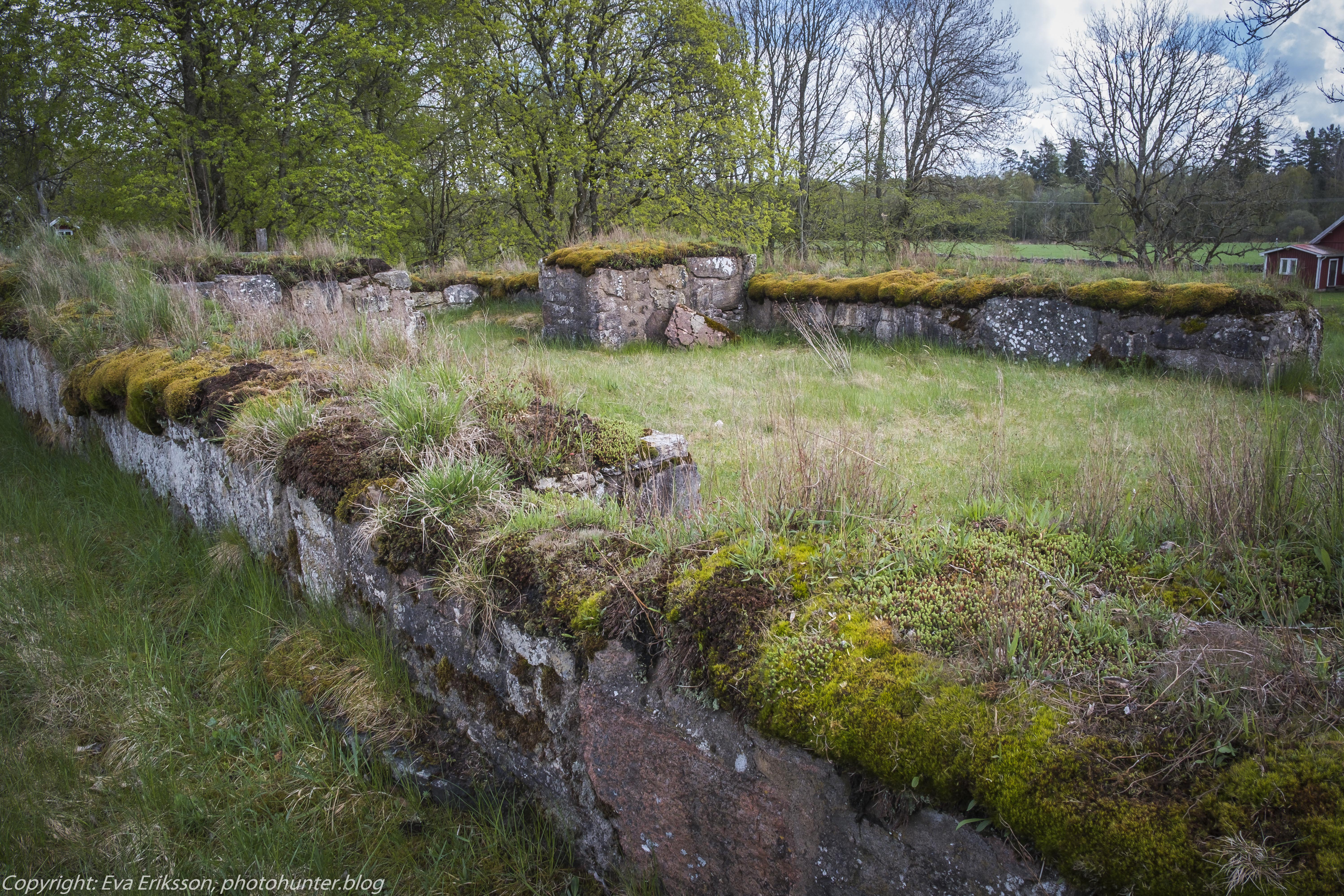 17052021-17052021-_DSF1066