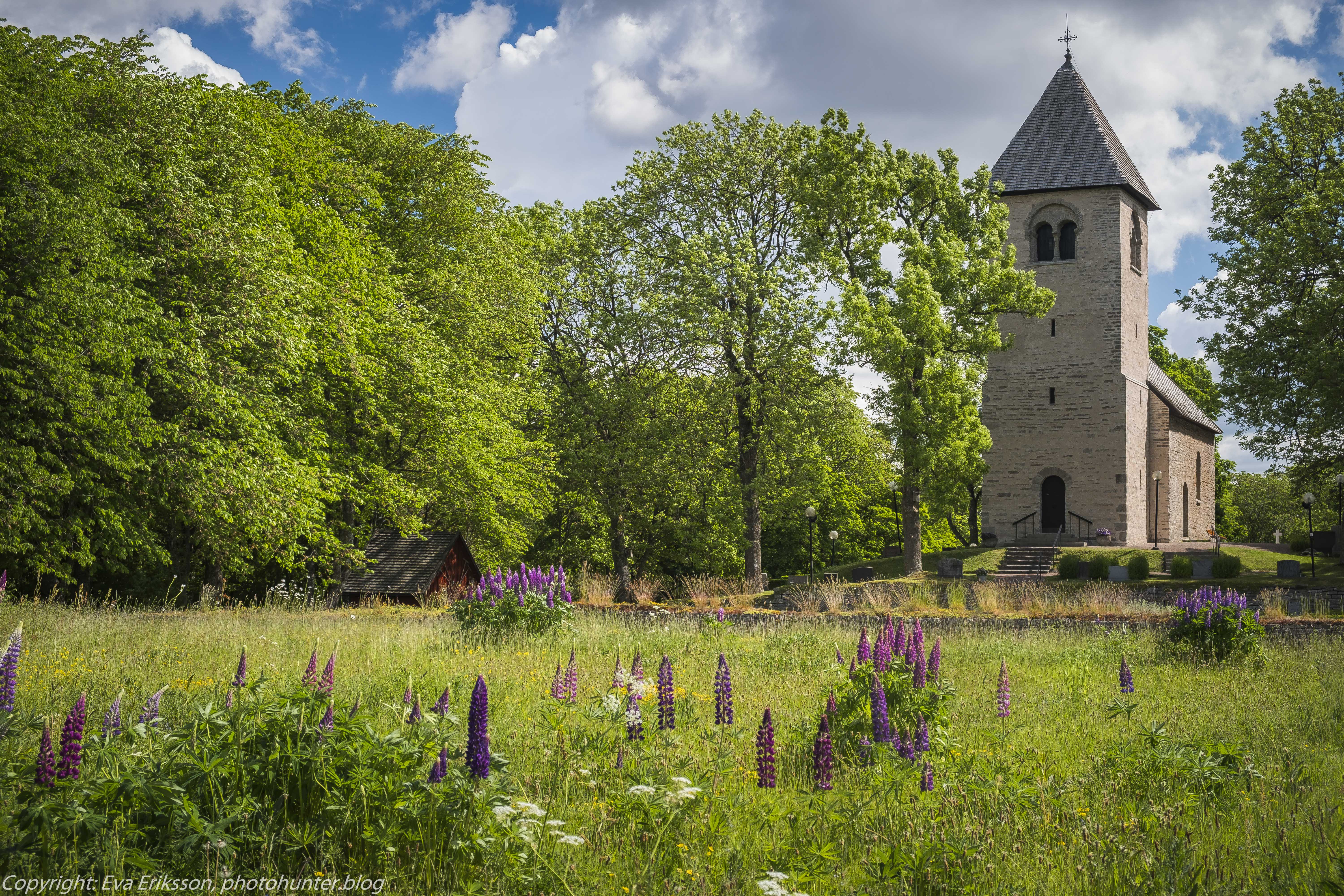 11062021-11062021-_DSF1576