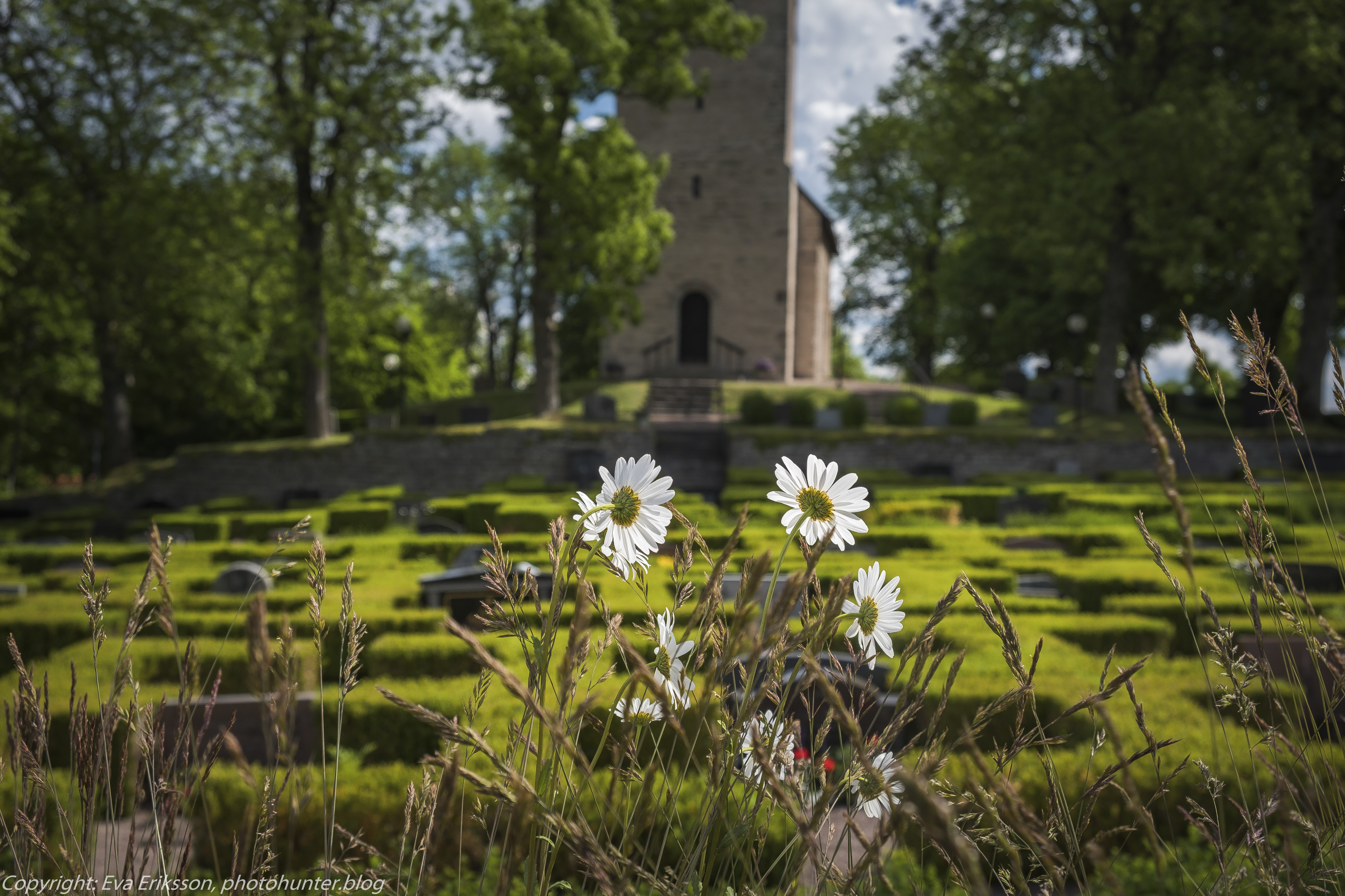 11062021-11062021-_DSF1581