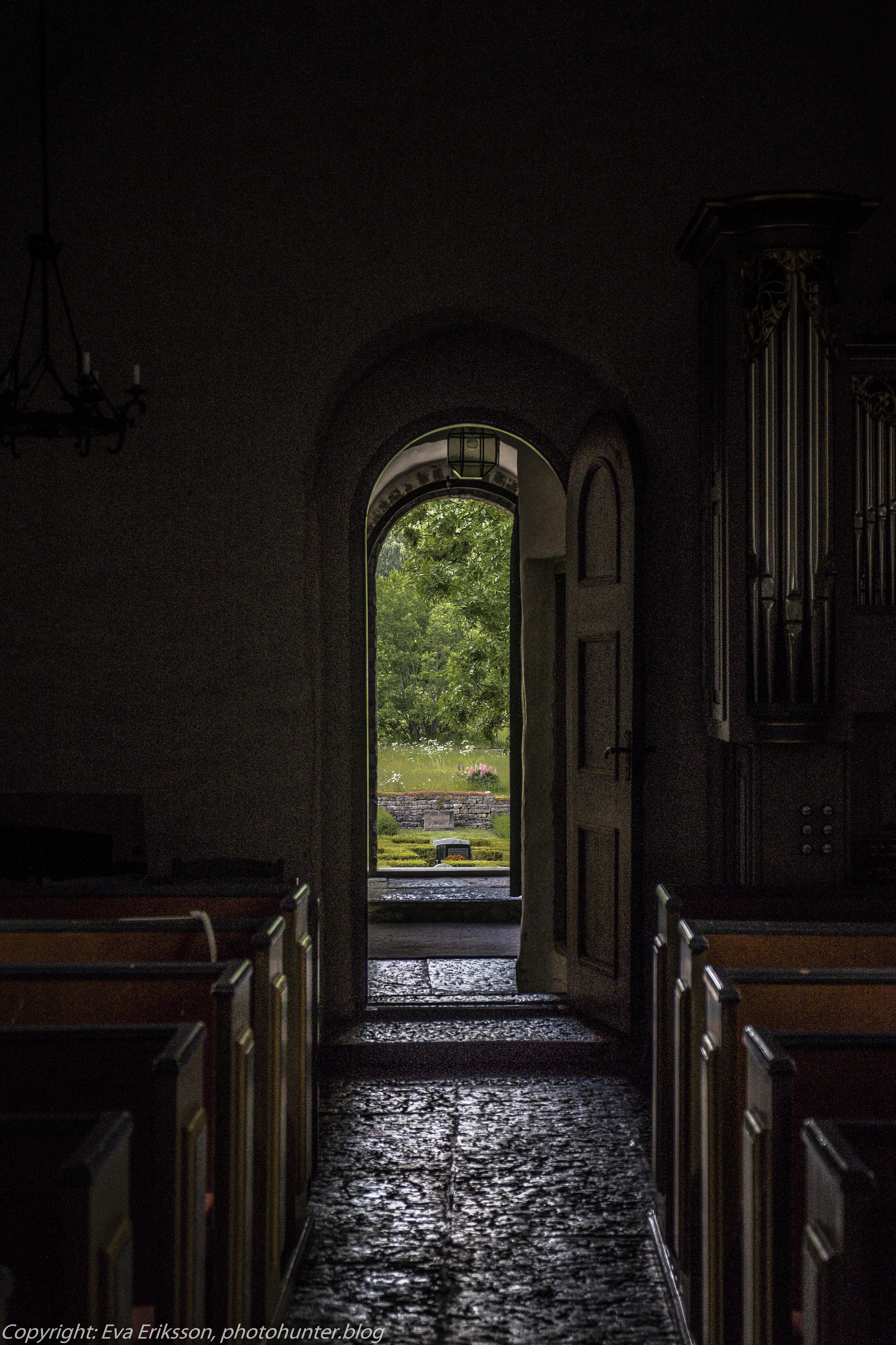 11062021-11062021-_DSF1611