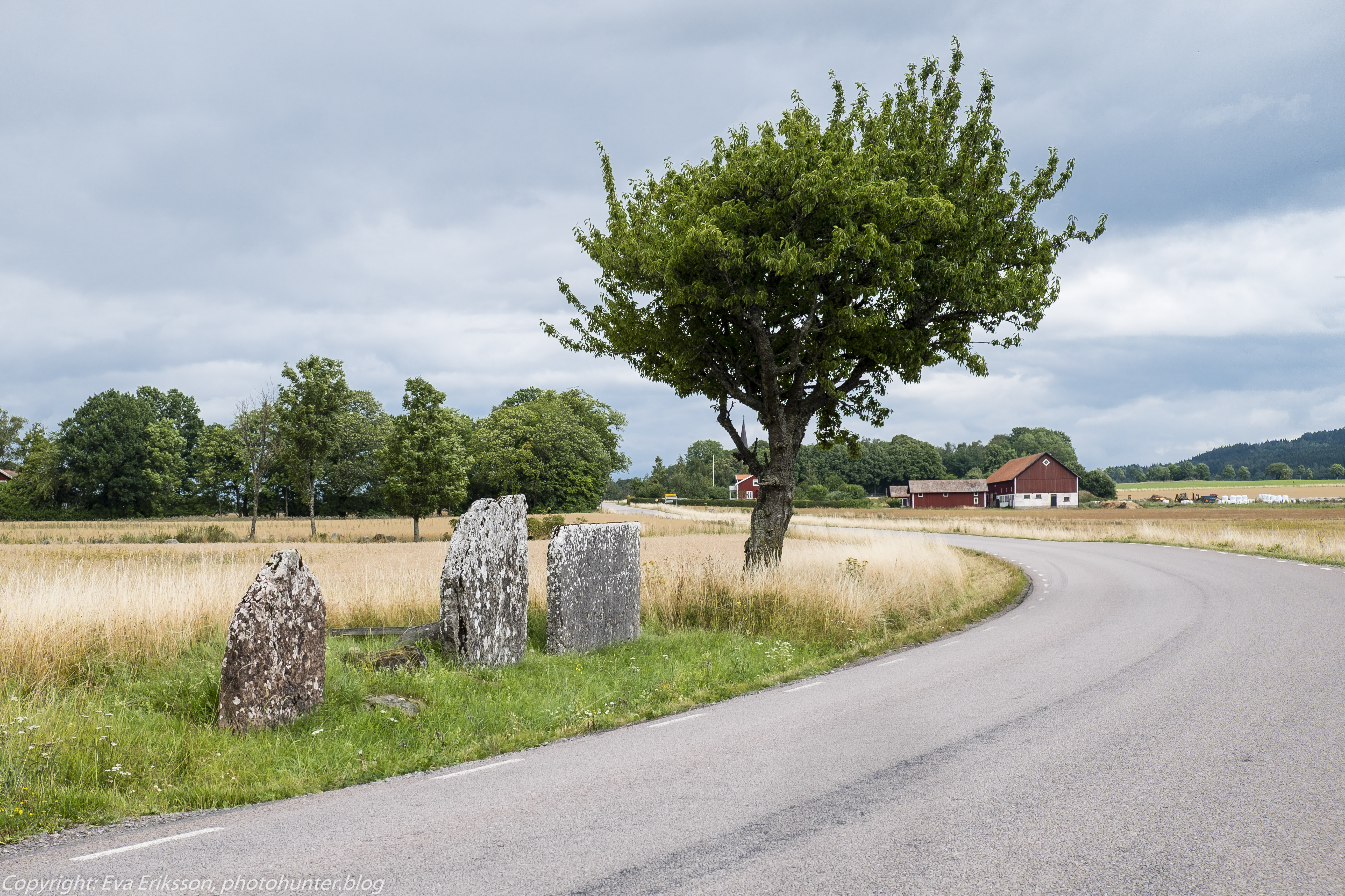 31072021-tredingsstenarna