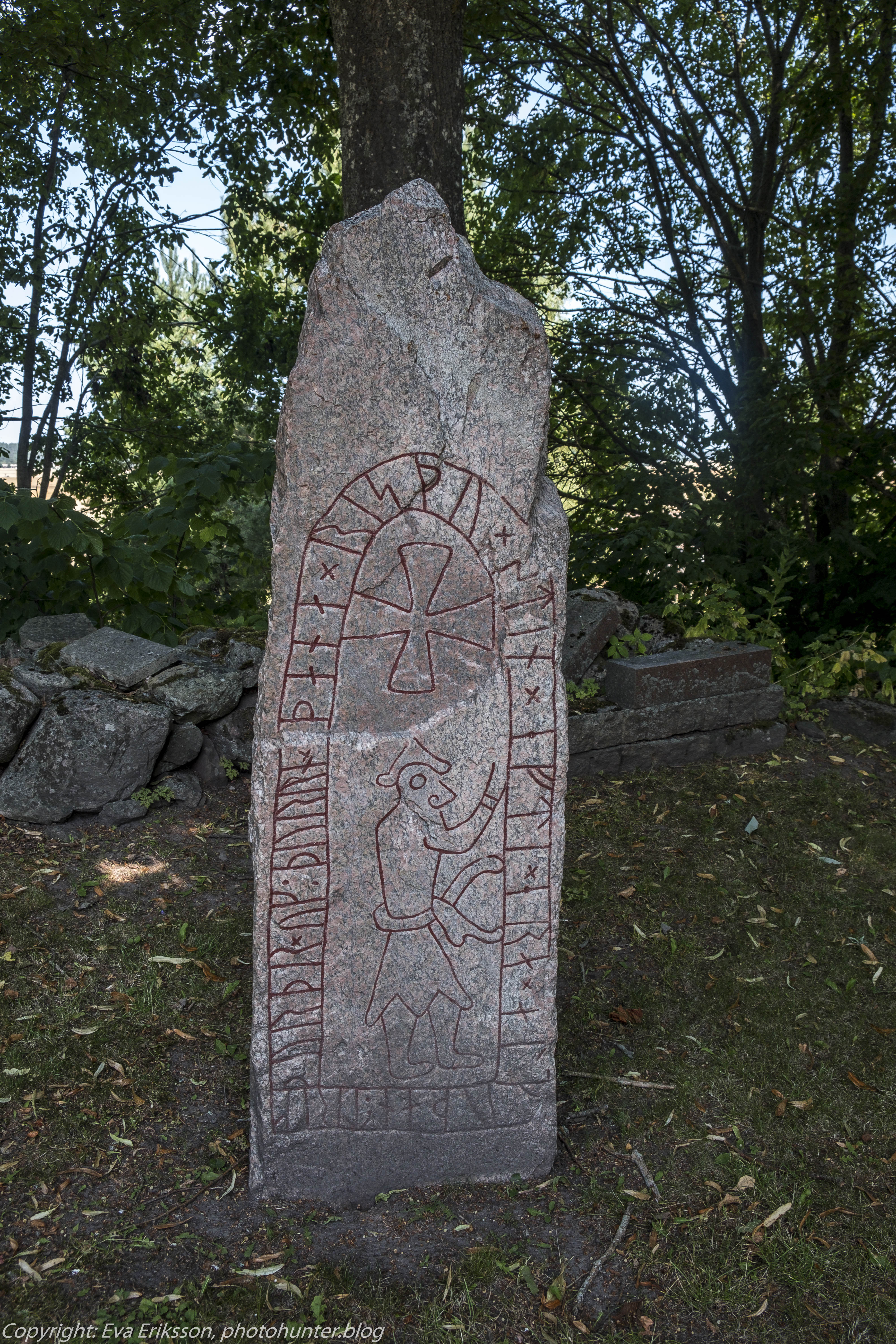På Island och Färöarna dansar och sjunger denna gryl, enligt tradition, vid fastlagstiden.