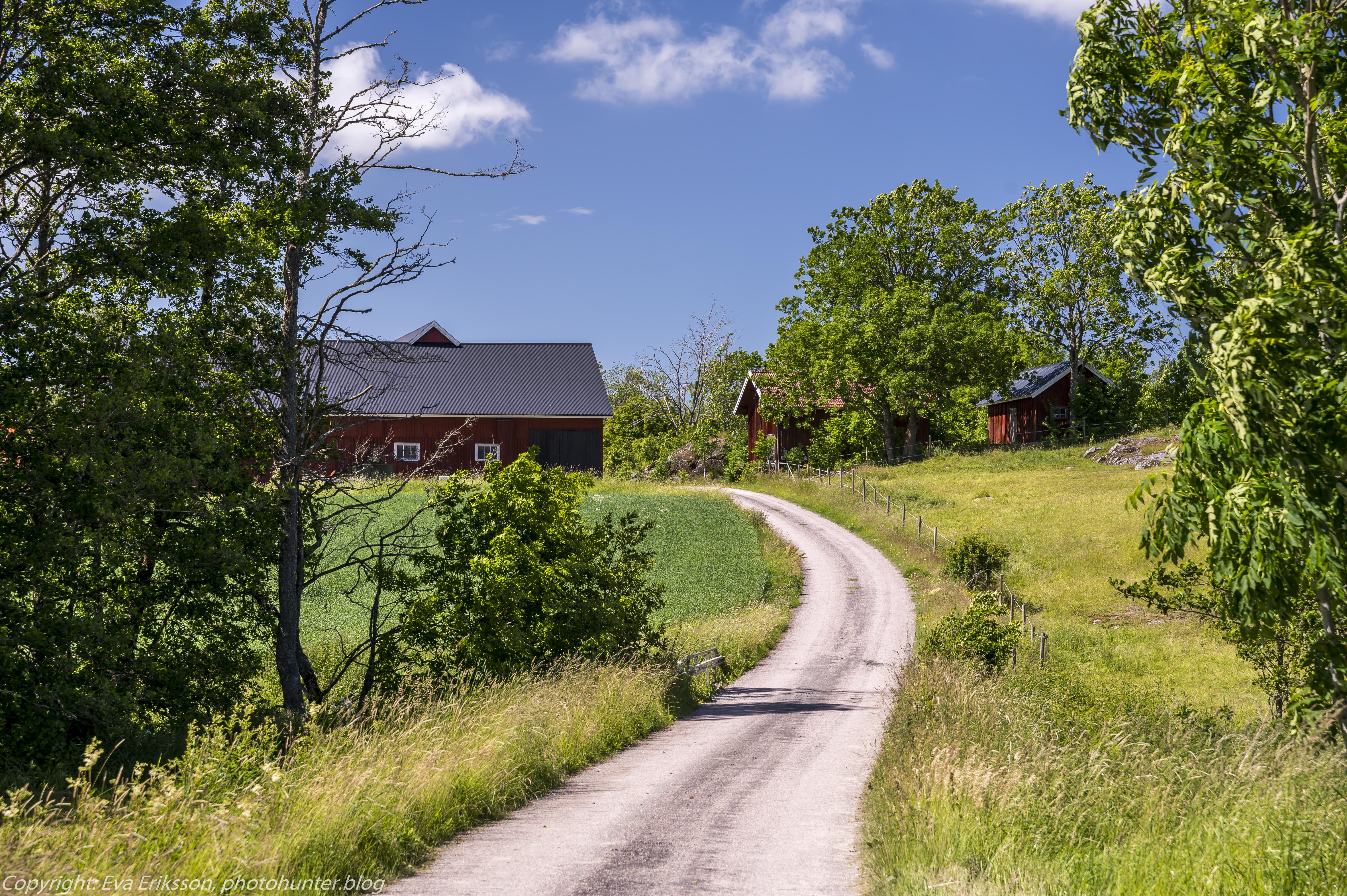 Omgivningarna i Lavad